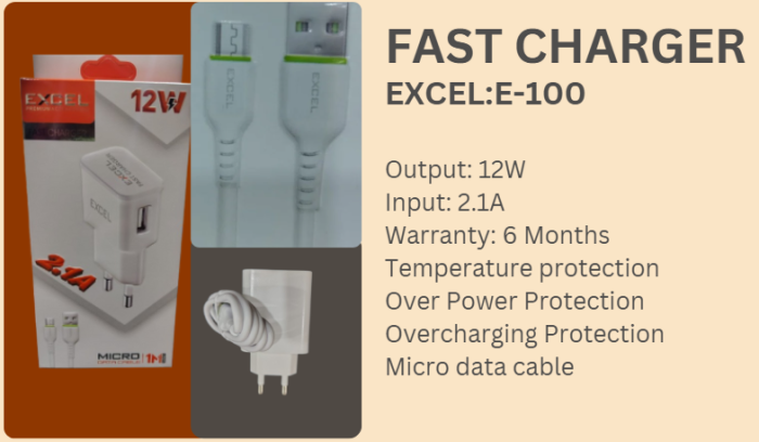 FAST CHARGER E-100 - Image 6